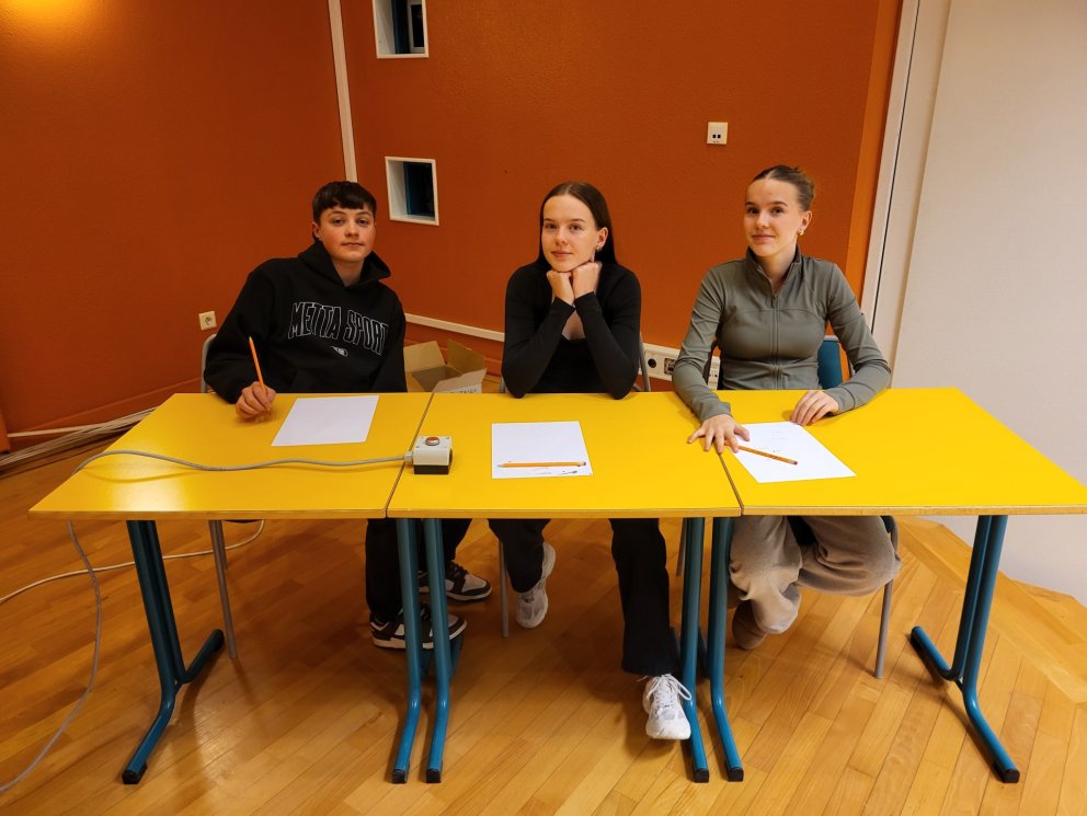 Gettu betur lið FNV. Frá vinstri: Markús Máni Gröndal, Steinunn Daníela Jóhannesdóttir og Arna Ísabe&hellip;