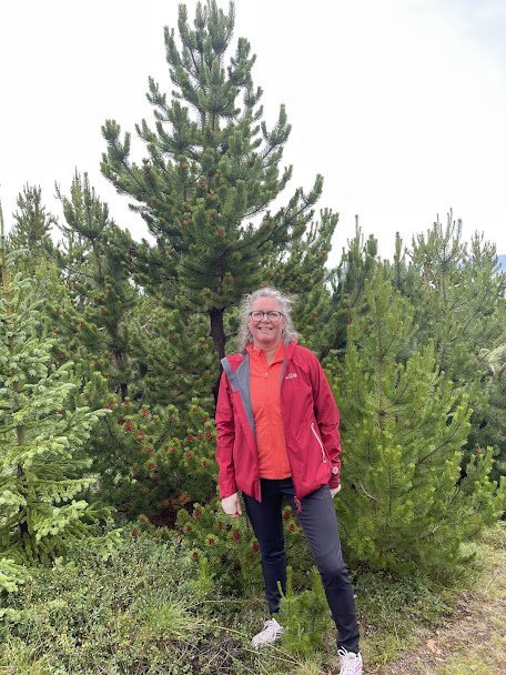 Aðalheiður Reynisdóttir