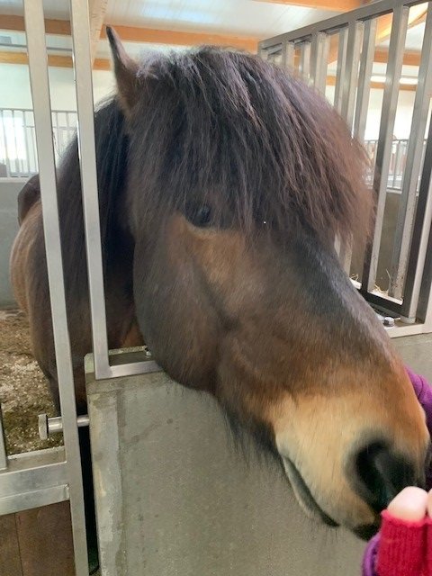 Bændaferð um Skagafjörðinn