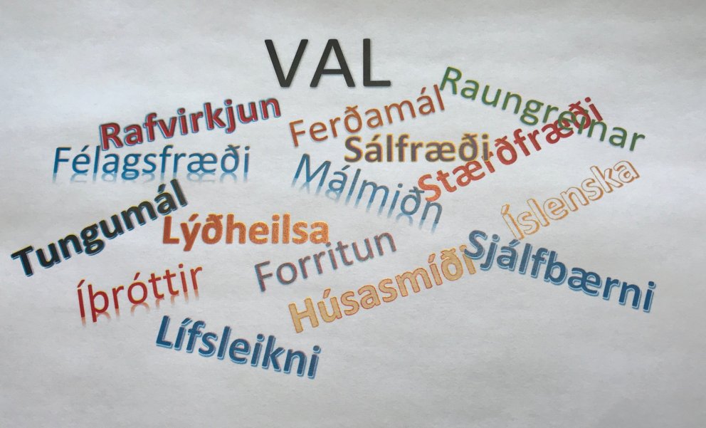 Val fyrir haust 2019