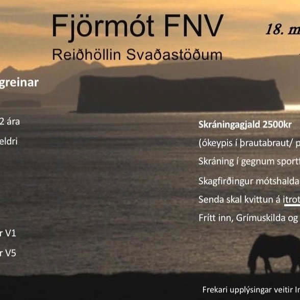 Auglýsing fyrir fjörmót FNV 2021