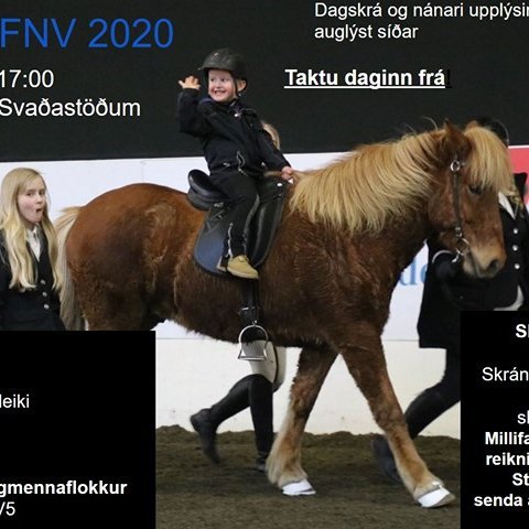 Auglýsing fyrir fjörmót FNV 2020