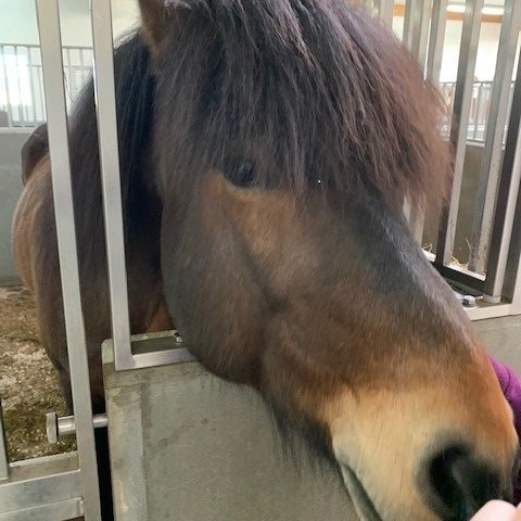 Bændaferð um Skagafjörðinn