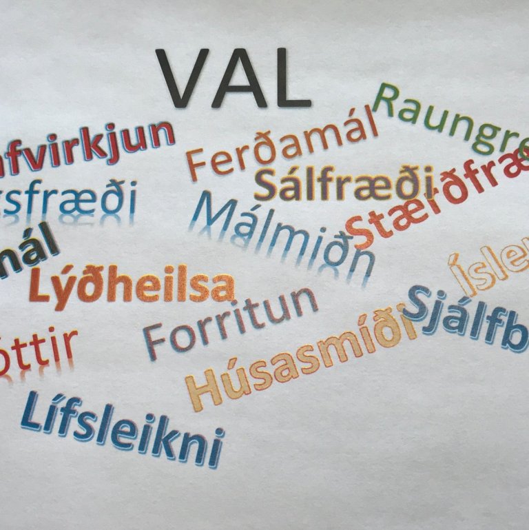 Val fyrir haust 2019